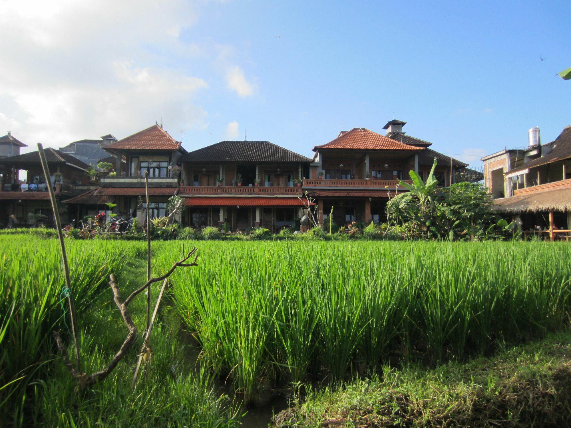 Danasari Homestay Ubud Exterior foto